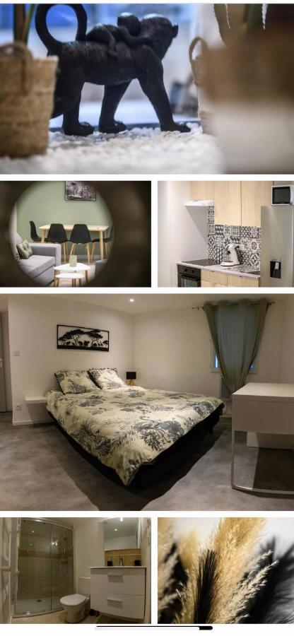 Le Boldieu- Duplex Beziers -Allee Paul Riquet- Wifi- Tv Connecte Dış mekan fotoğraf