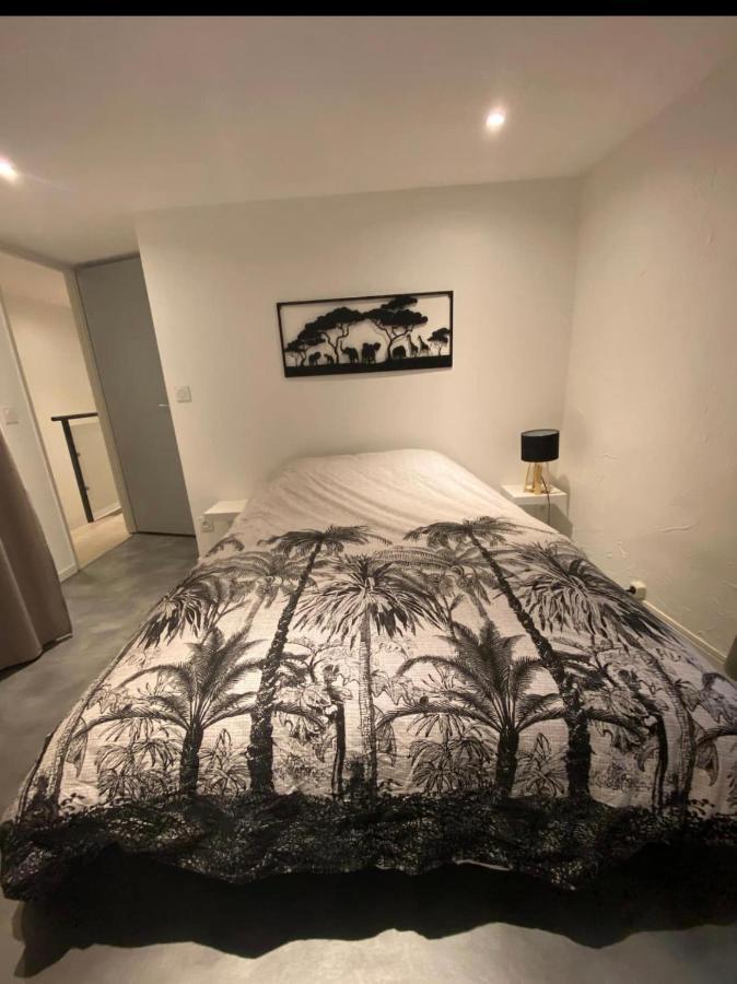 Le Boldieu- Duplex Beziers -Allee Paul Riquet- Wifi- Tv Connecte Dış mekan fotoğraf